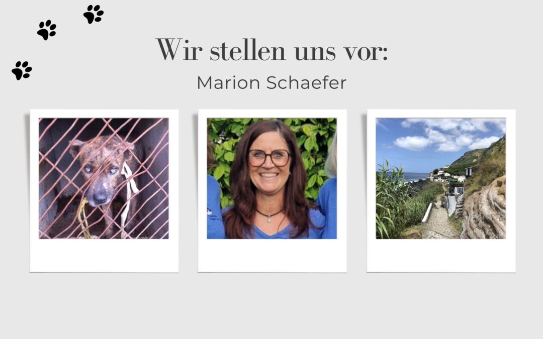 Wir stellen uns vor: Marion Schaefer